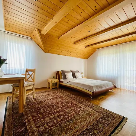Nad Jeziorem Czorsztynskim Villa *